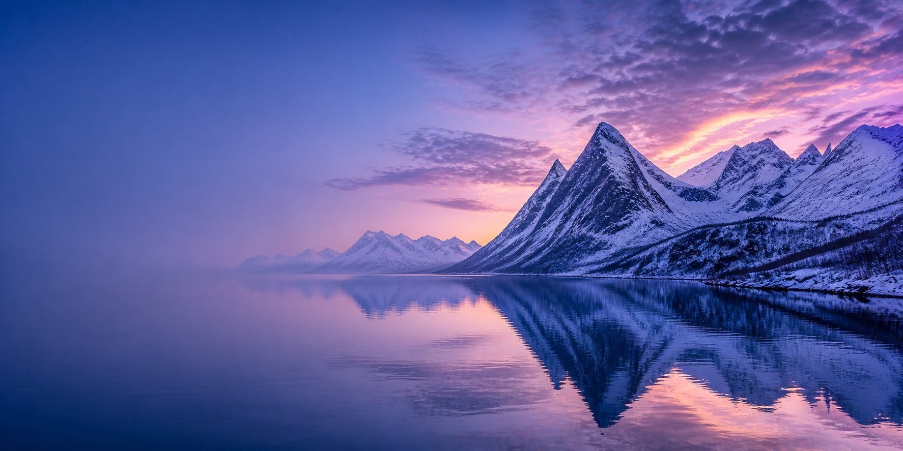 Domener i Norge - kunnskapsbase fra DomainNordic